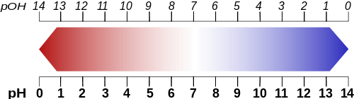 pH-Scale - Wikimedia Commons PatríciaR